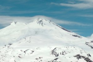 Confirmation de l'origine biogénique du carbone organique atmosphérique en Europe 