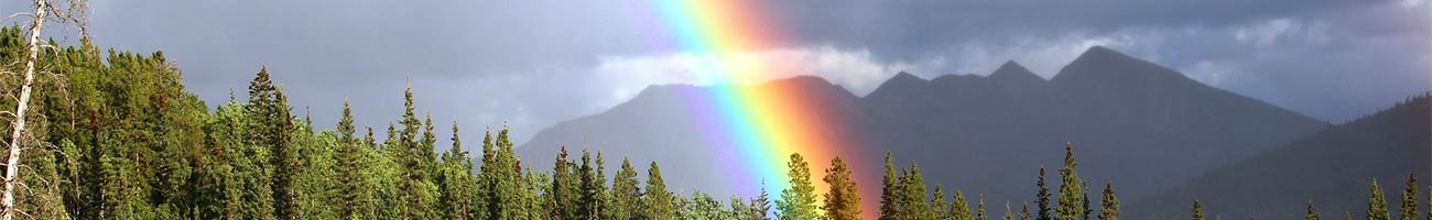 The first Spectroscopy Workshop