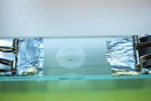 [Conférence] Les échantillons de l'astéroïde Ryugu