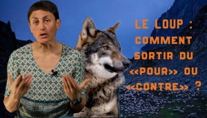 [VIDEO] FLASH ! La série vidéo de vulgarisation scientifique de l'OSUG