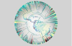  Augmenter les zones protégées de 5% pourrait tripler l'efficacité de la protection de la biodiversité 
