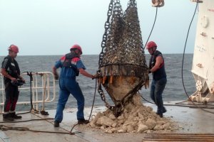 Le magmatisme Jurassique du plateau de Demerara comme vestige du point chaud de Sierra Leone pendant l'ouverture de l'océan Atlantique