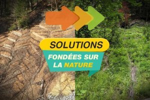  Territoires de montagne : quand la nature devient solution (VIVALP)