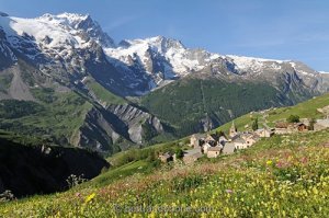 Des écosystèmes de haute montagne précieux pour le bien-être national