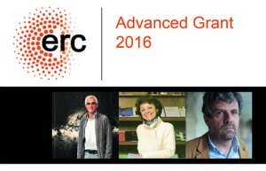 ERC Advanced Grant 2016 : 3 chercheurs de l'OSUG lauréats !