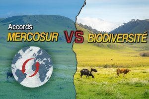  Accord UE-Mercosur : quand la radiochronologie retrace l'histoire agricole de la Pampa en Amérique du Sud