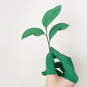 Soirée : métiers de l'environnement