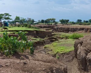 Urgent need for new approach to combat global grassland degradation
