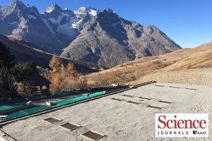 Can plants evolve quickly enough to adapt to a planet that is warming so rapidly?