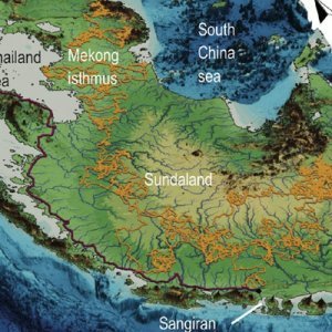 Les migrations de l'Homo erectus javanais il y a 1,8 millions d'années environ