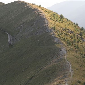 Les sommets des Alpes verdissent… et certains beaucoup plus vite que d'autres