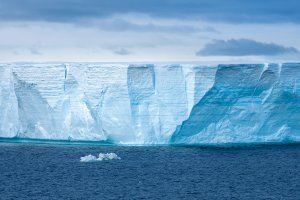 Le réchauffement de l'océan Austral, une conséquence du changement climatique, menace la viabilité de 60% des plateformes glaciaires antarctiques