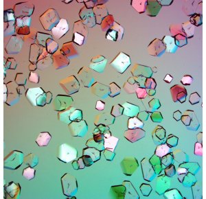 La cristallisation des protéines, comme un jeu de Tetris 