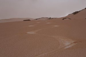 [Conférence] Une campagne de science participative pour mieux comprendre le dépôt de poussières sahariennes 