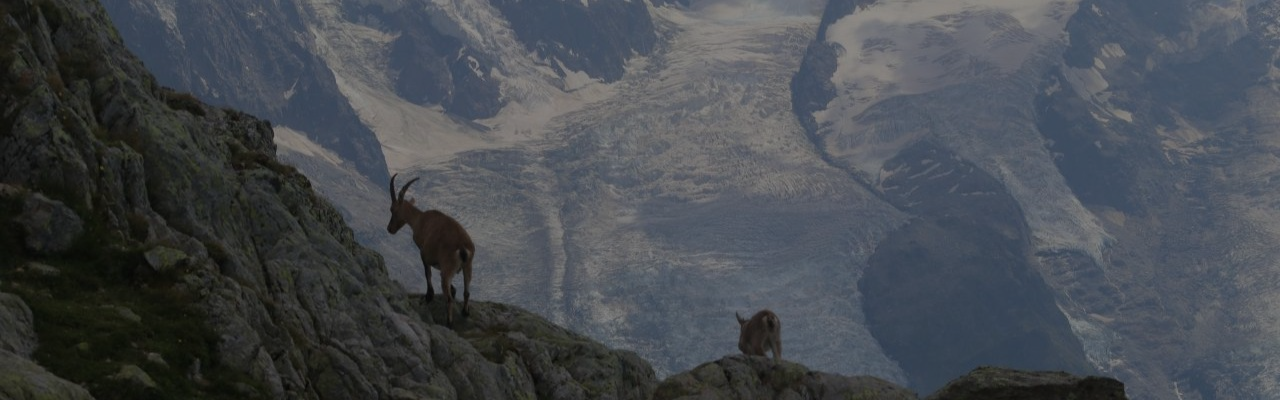 La glace du Mont Blanc révèle un lien inédit entre poussières sahariennes et climat en Europe de l'Ouest 