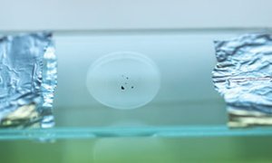 L'astéroïde Ryugu étudié à l'IPAG !