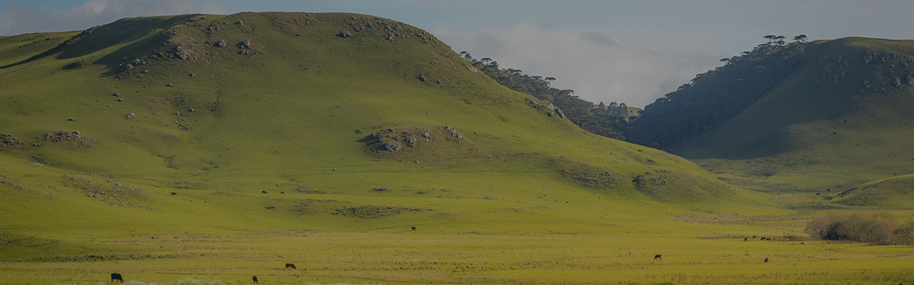  Accord UE-Mercosur : quand la radiochronologie retrace l'histoire agricole de la Pampa en Amérique du Sud