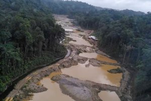  Dans les mines d'or de Guyane, le bilan mitigé de la réhabilitation des sols