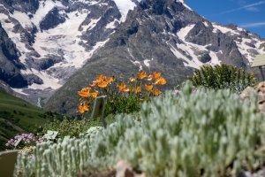 [TV] Les jardins botaniques, un sanctuaire pour la flore