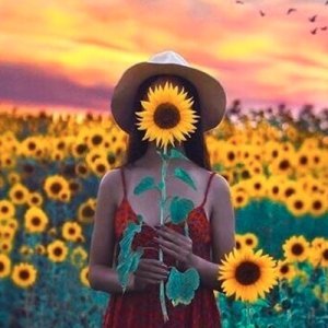 2220 : quel climat et quelle civilisation ? Une exagération poétique, sensible et scientifique 