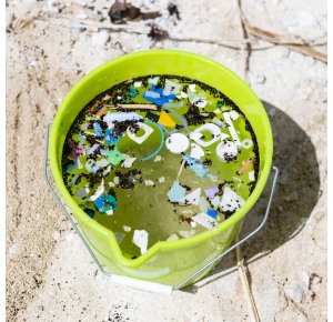 Vers une compréhension du cycle global des microplastiques dans l'environnement 
