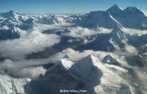 Les bouleversements terrestres façonnent la répartition des espèces animales