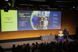 Plonger dans la matière : médaille du Cristal collectif pour l'équipe FAME