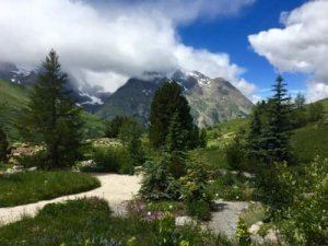 [TV] Le jardin du Lautaret à l'honneur sur Arte