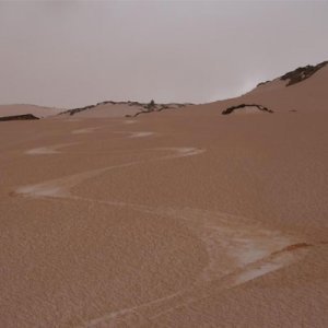 Le rôle des poussières et du carbone suie dans l'impact du réchauffement climatique sur l'enneigement