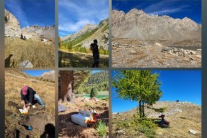 À l'écoute des Alpes du Sud : 70 capteurs pour comprendre l'activité sismique